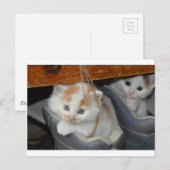 かわいい仔猫 ネコ 動物 ペット 猫 ポストカード (正面/裏面)