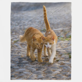 かわいい仲間の子猫が同じ道を歩く – ソフト フリースブランケット