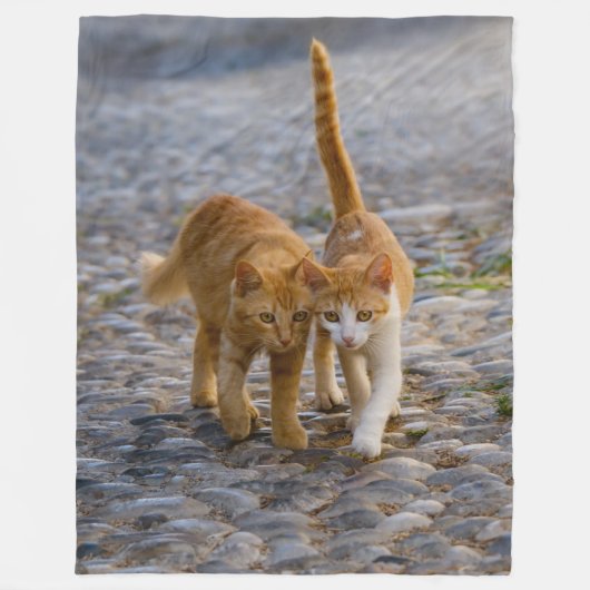 かわいい仲間の子猫が同じ道を歩く – ソフト フリースブランケット (正面)