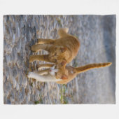 かわいい仲間の子猫が同じ道を歩く – ソフト フリースブランケット (正面(横))