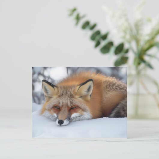 かわいい休憩キツネ冬動物 ポストカード (スタンド正面)
