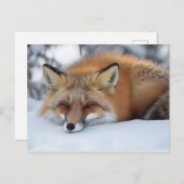 かわいい休憩キツネ冬動物 ポストカード (正面/裏面)