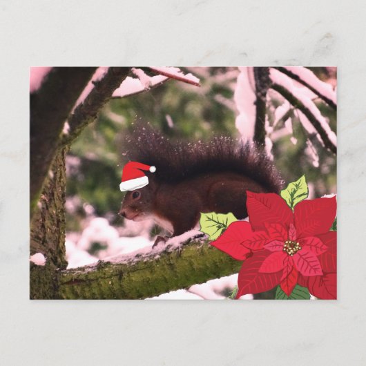 かわいい休日の挨拶はがき ポストカード (正面)