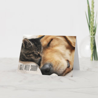 かわいい健康なカードをすぐに得て下さい カード