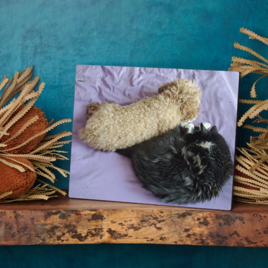 かわいい写真やペットおもしろい写真の追加 フォトプラーク (側面)