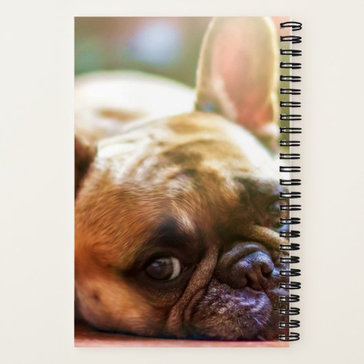 かわいい写真を追加する名前Bulldog フランスの Notebook ノートブック (裏面)