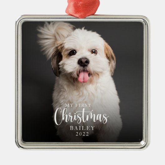かわいい写真マイ初めてのクリスマスペットオーナメント メタルオーナメント (正面)