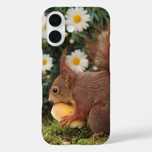 かわいい写真 赤リスとマーガレット Case-Mate iPhoneケース (裏面)