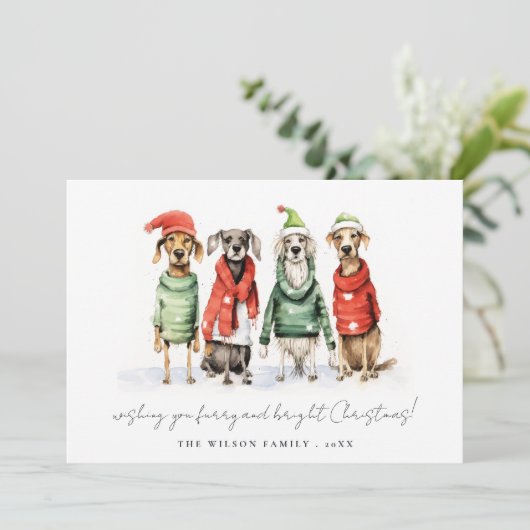 かわいい冬の犬のセーター毛皮と明るいクリスマス シーズンカード (スタンド正面)