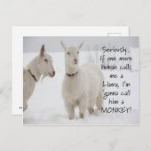 かわいい動おもしろい物のヤギのジョーク ポストカード (正面/裏面)