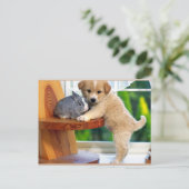 かわいい動物たち ポストカード (スタンド正面)