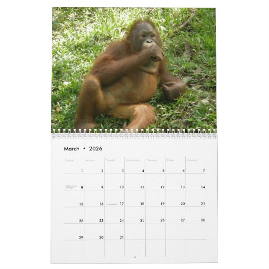 かわいい動物のオランウータンさんの写真 カレンダー (3月 2026)
