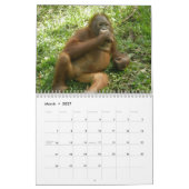 かわいい動物のオランウータンさんの写真 カレンダー (3月 2027)