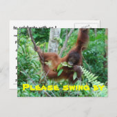 かわいい動物のスウィンガーのパーティの招待状 インビテーションポストカード (正面/裏面)