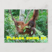 かわいい動物のスウィンガーのパーティの招待状 インビテーションポストカード (正面)