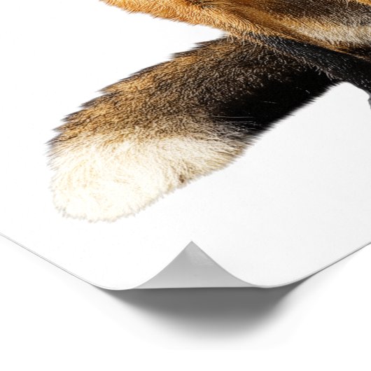 かわいい動物の子供 キツネが泡を吹く 幼稚園の写真 ポスター (角)