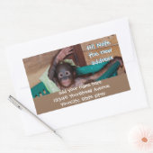 かわいい動物の新しい住所ラベル 長方形シール (封筒)