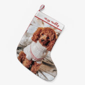 かわいい動物ペットのクリスマスフォト スモールクリスマスストッキング (正面 (吊り時))