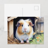 かわいい動物モルモット水色 ポストカード (正面/裏面)