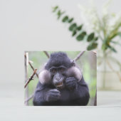 かわいい動物 ポストカード (スタンド正面)