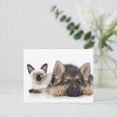 かわいい動物 ポストカード (スタンド正面)