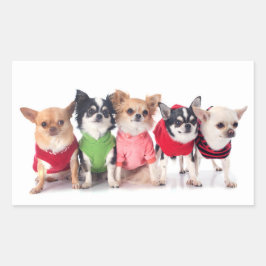 かわいい動物 長方形シール