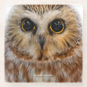 かわいい北のこぎりフクロウ ガラスコースター (正面)