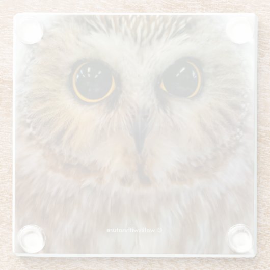 かわいい北のこぎりフクロウ ガラスコースター (裏面)