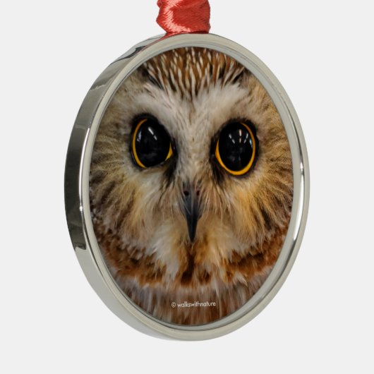 かわいい北のこぎりフクロウ メタルオーナメント (右)