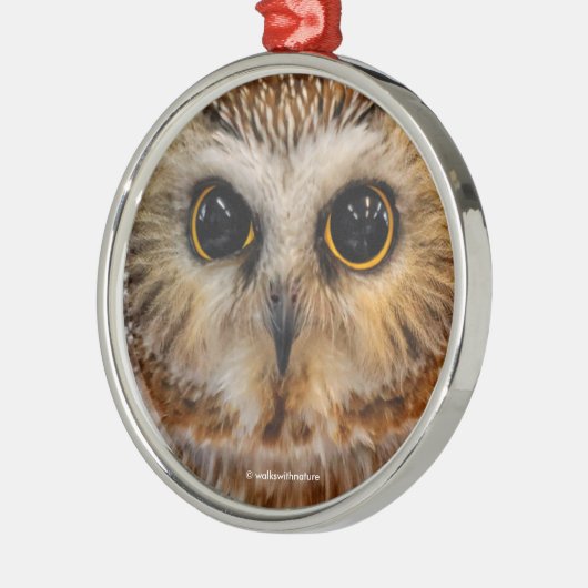 かわいい北のこぎりフクロウ メタルオーナメント (左)