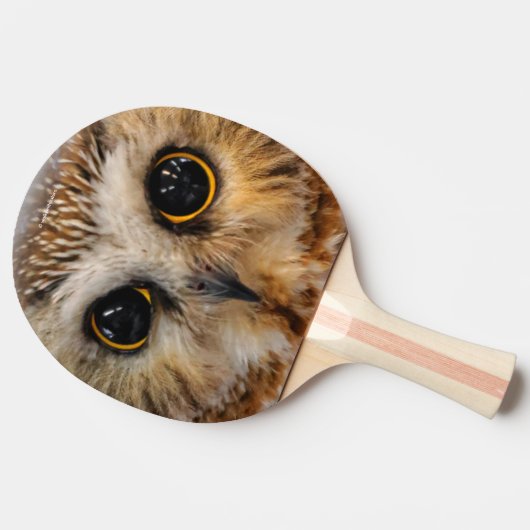 かわいい北のこぎりフクロウ 卓球ラケット (横)