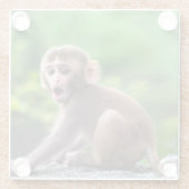 かわいい可愛いベビーサル ガラスコースター (裏面)