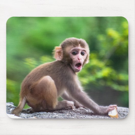かわいい可愛いベビーサル マウスパッド (正面)