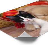 かわいい可愛いペット ポスター (角)