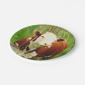 かわいい可愛い牛の紙プレート ペーパープレート (アングル)