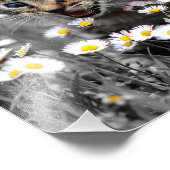 かわいい可愛い猫ネコ フォトプリント            (角)