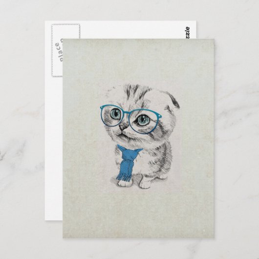 かわいい可愛おもしろいいトレンディーブルーアイズ子猫 ポストカード (正面/裏面)