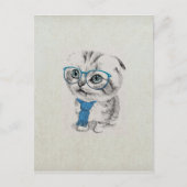 かわいい可愛おもしろいいトレンディーブルーアイズ子猫 ポストカード (正面)