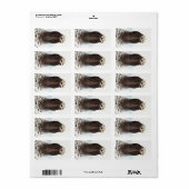 かわいい可愛らしいフワフワのカワウソ ラベル (フルシート)