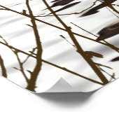 かわいい可愛らしいフワフワの動物 ポスター (角)