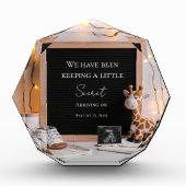 かわいい喜びのベビーキリン妊娠の発表 フォトブロック (正面)