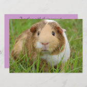 かわいい国内モルモット 招待状 (正面/裏面)