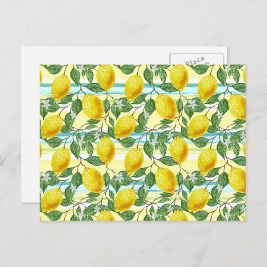 かわいい地中海のサマーレモンフルーツアートパターン ポストカード (正面/裏面)