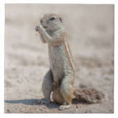 かわいい地面の平原 タイル (正面)