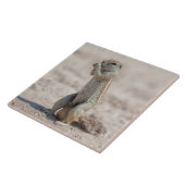 かわいい地面の平原 タイル (側面)