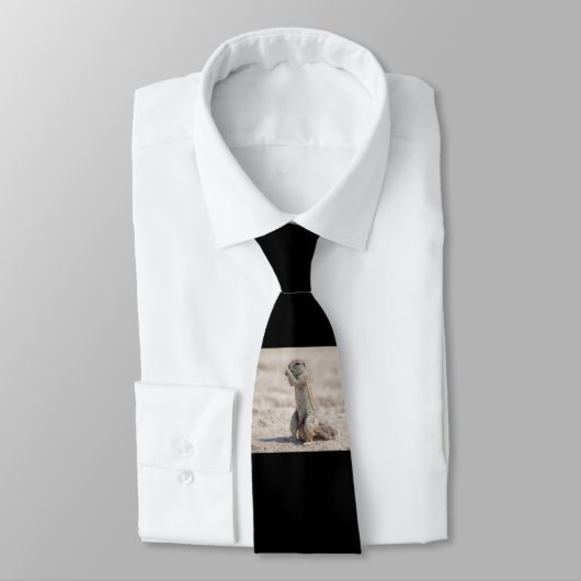 かわいい地面の平原 ネクタイ (タイ)