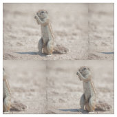 かわいい地面の平原 ファブリック (クローズアップ)