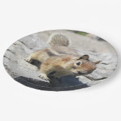 かわいい地面リスの自然写真 ペーパープレート (アングル)