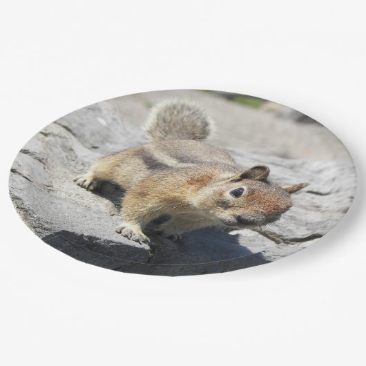 かわいい地面リスの自然写真 ペーパープレート (アングル)