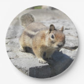 かわいい地面リスの自然写真 ペーパープレート (正面)